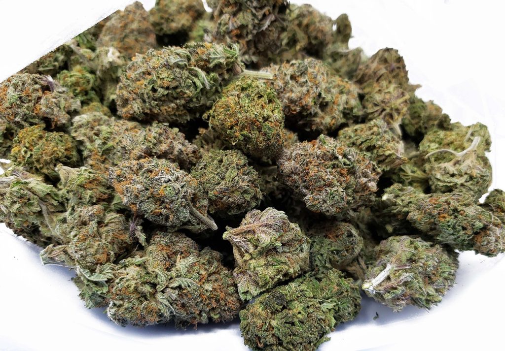 black nuken, bc's most infamous cannabis strain, buy weed canada-4946946.jpg