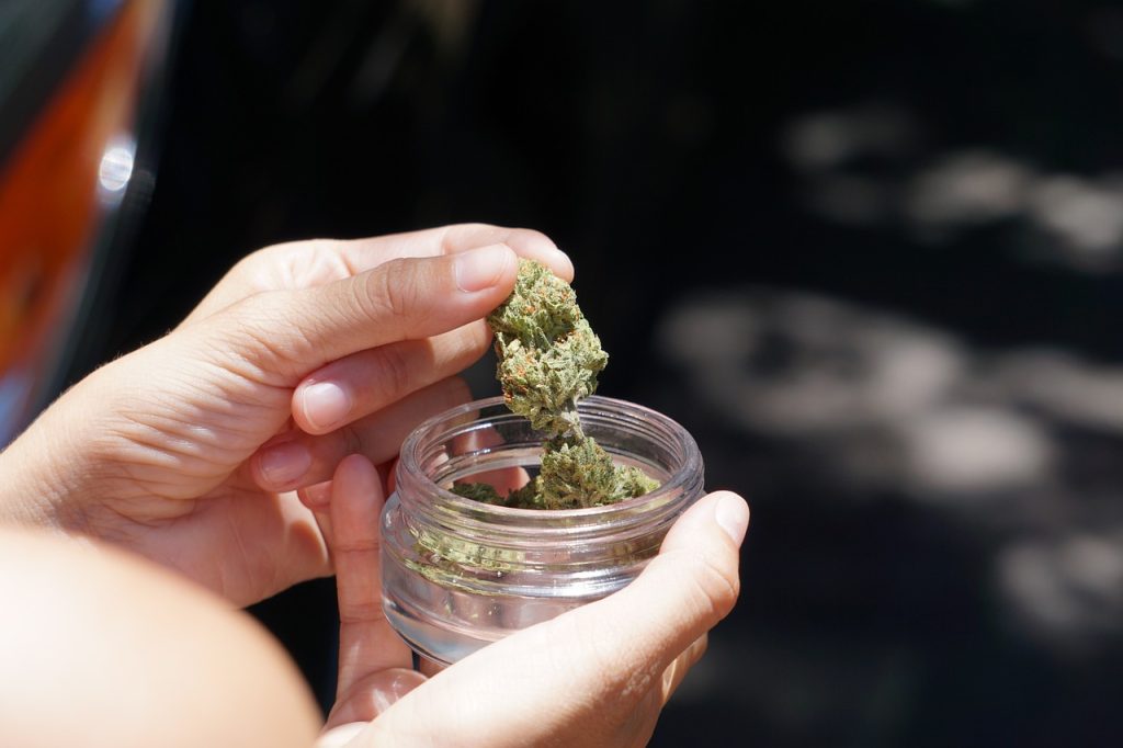 hand, cannabis flower, jar-5460474.jpg